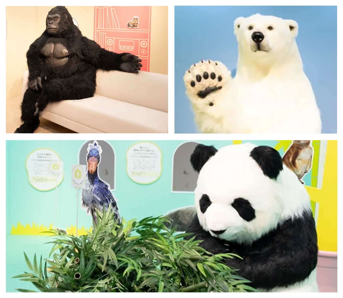 パンダ・ゴリラ・ホッキョクグマのフォトスポット