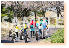 オリジナルフォトカード デザイン2