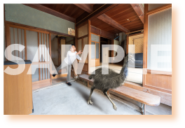 オリジナルフォトカード デザイン3