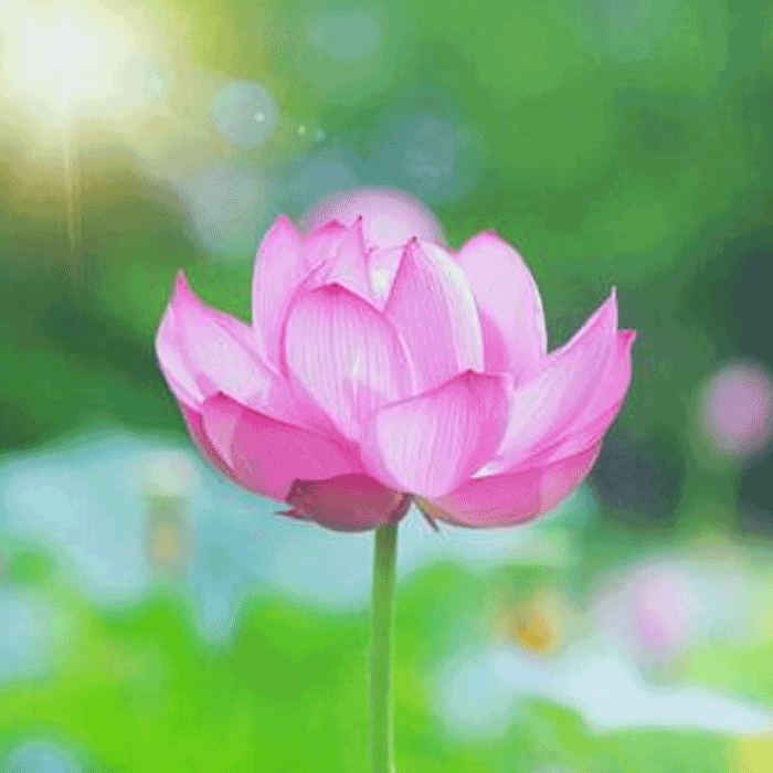 仏教