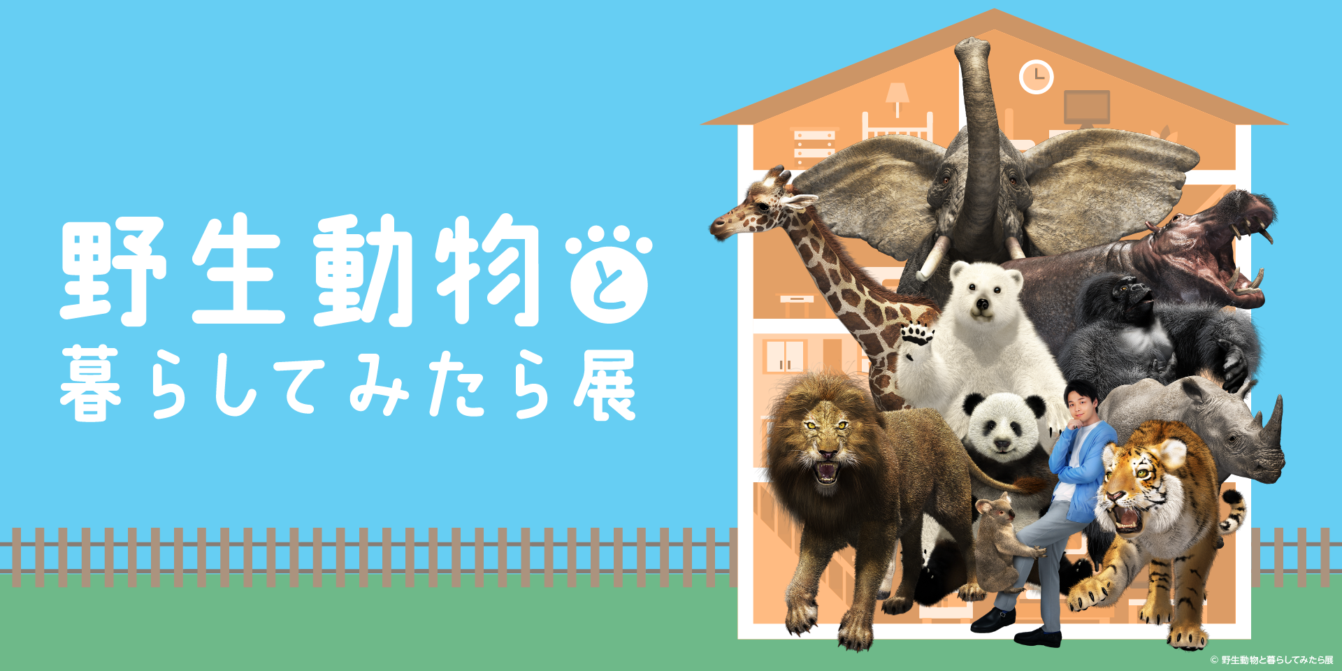 野生動物と暮らしてみたら展